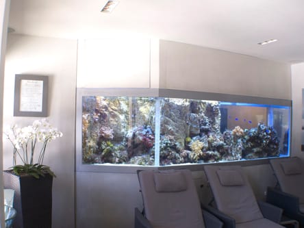 Aquarium eau de mer