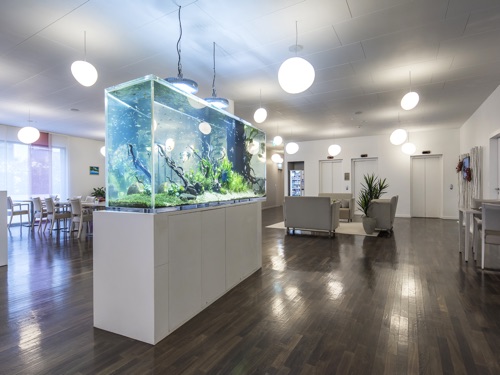 Aquarium en acrylique